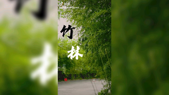 竹林