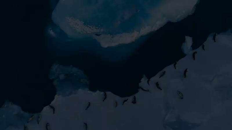 南极洲风光