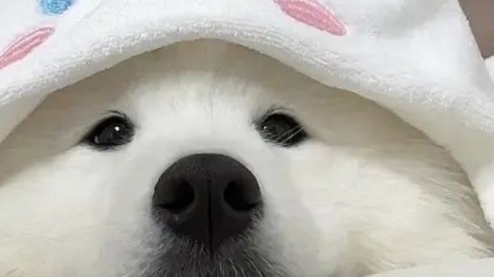 一次平平淡淡的录屏6