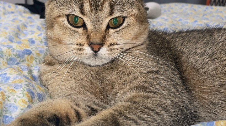 时而超神时而超鬼