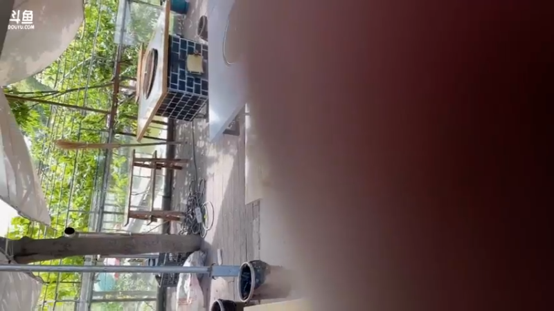 【2022-05-03 16点场】亮哥il：试水81新活动！！！！