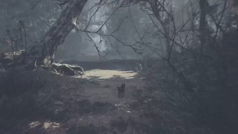 【2022-05-03 11点场】琼斯小卫：这个游戏好可怕~胆小勿看