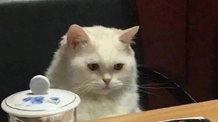 1111111