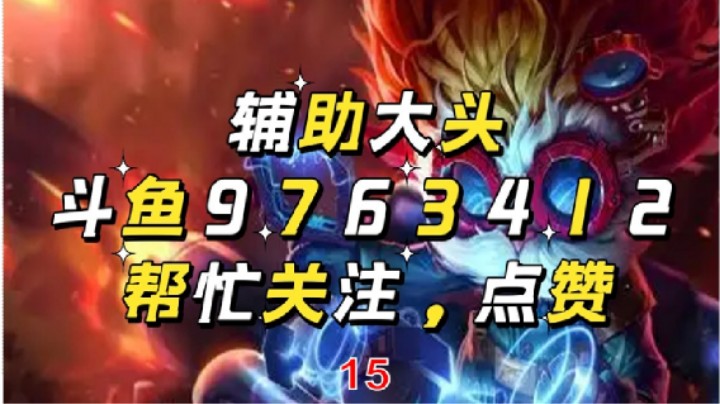 辅助大头15
