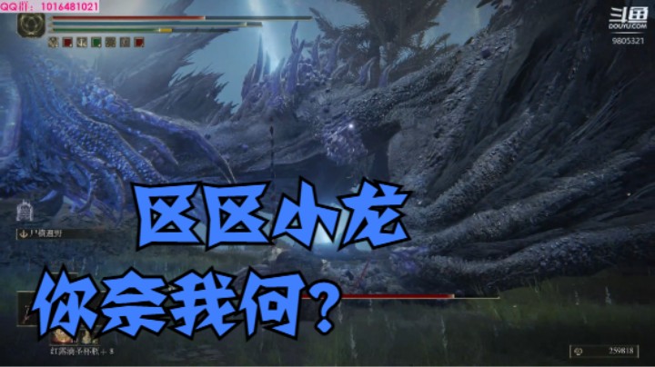 辉石龙：不过是只可爱的小动物