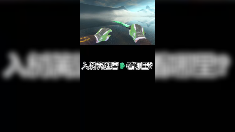 【csgo皮肤】树篱绿手套怎么挑呢？