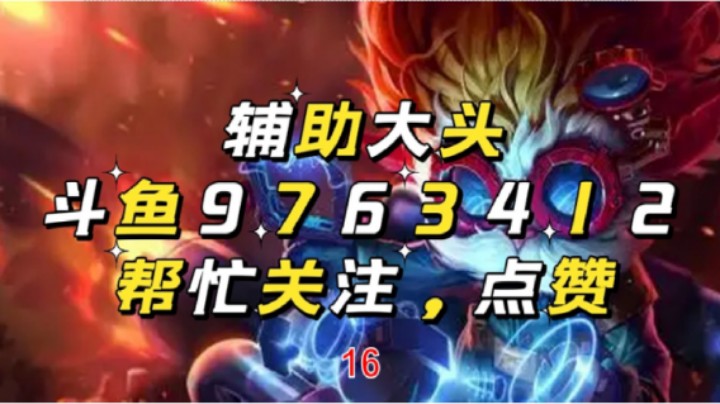 辅助大头16
