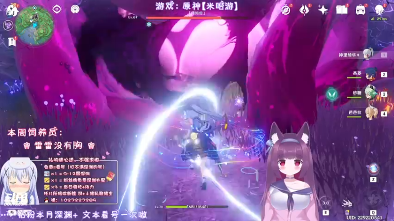 【2022-05-04 01点场】Corgi酱紫：深渊灰机，补星办卡呦