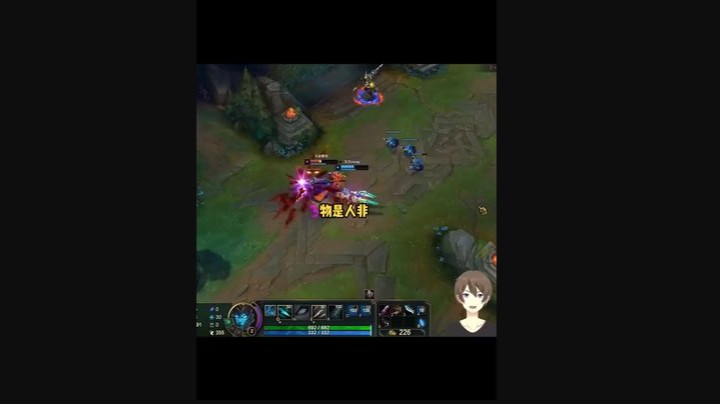 物是人非事事休