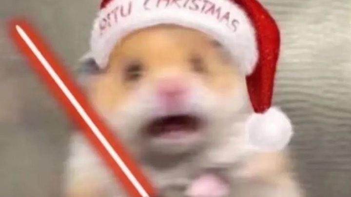 ………