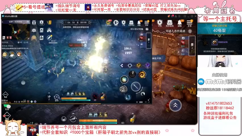 【2022-05-04 23点场】刘涛er：帮肝最强调号冲榜四测玩家