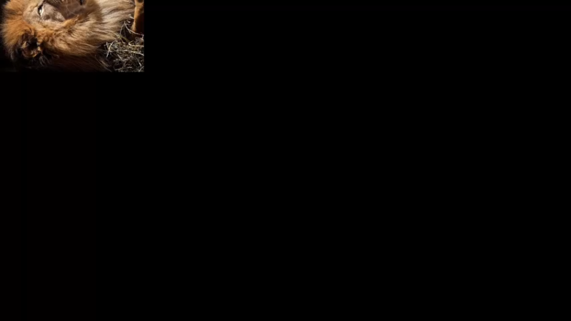 【2022-05-04 22点场】小狮子lionkk丶：【LIONKK】开荒