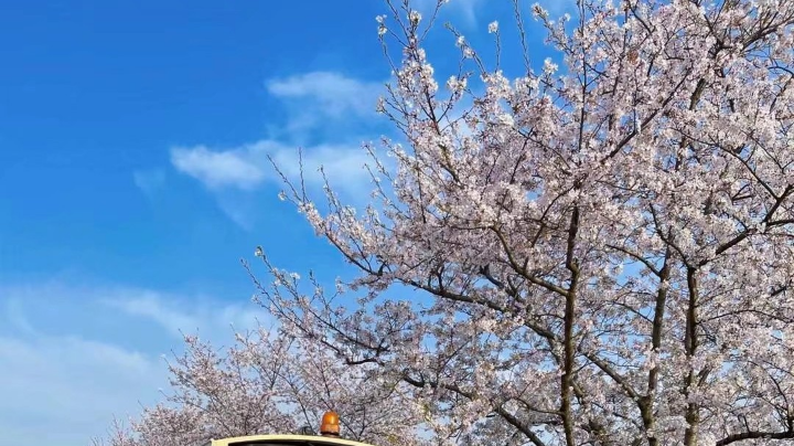 副本教学