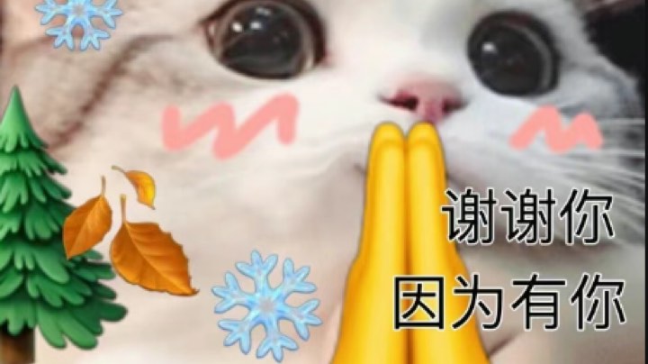 地痞街道