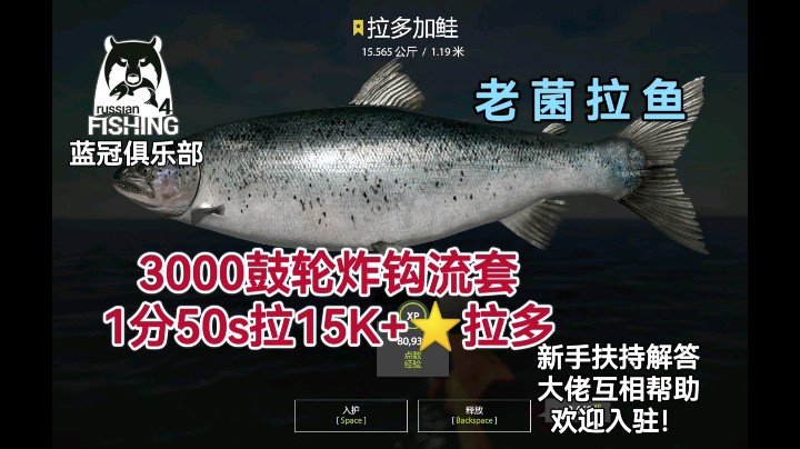 俄罗斯钓鱼4-老菌拉鱼鉴赏⑤3000鼓轮炸钩流套1分50s拉15k+⭐️拉多加鲑