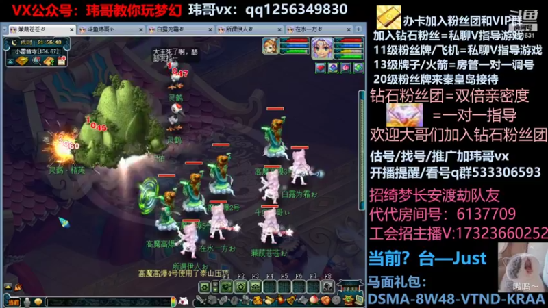 【2022-05-04 21点场】玮哥爱梦幻：蒹葭苍苍从零飞升-送攻略