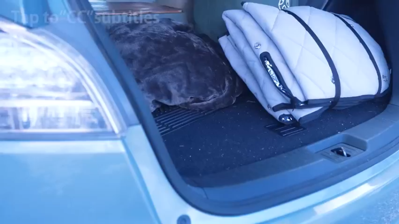 【冬の車中泊旅】凍りついた湖畔で氷点下の車中泊
