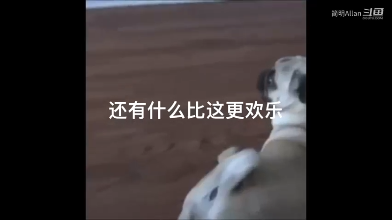 还有什么比这更欢乐