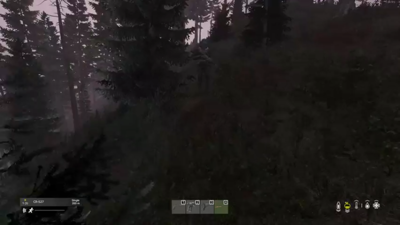 【2022-05-03 16点场】dayz韩爱东西：5.1快乐。好久不见