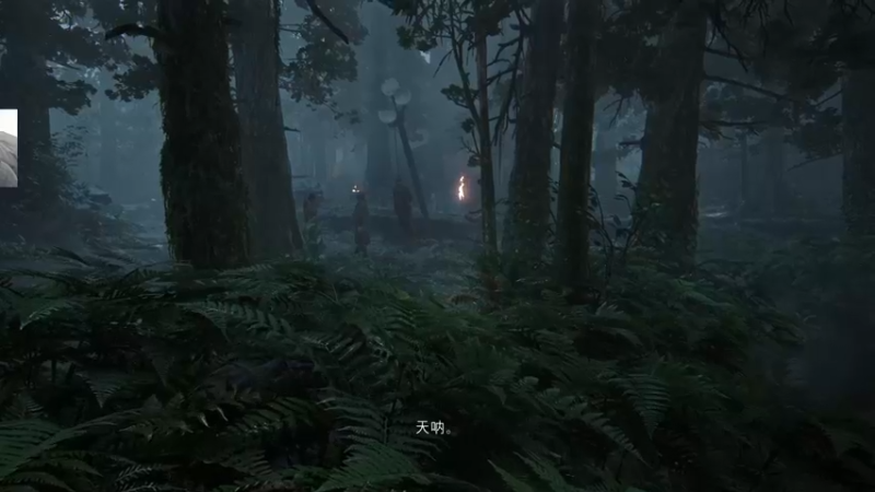 【2022-05-05 01点场】章随便先生：我会说大象话