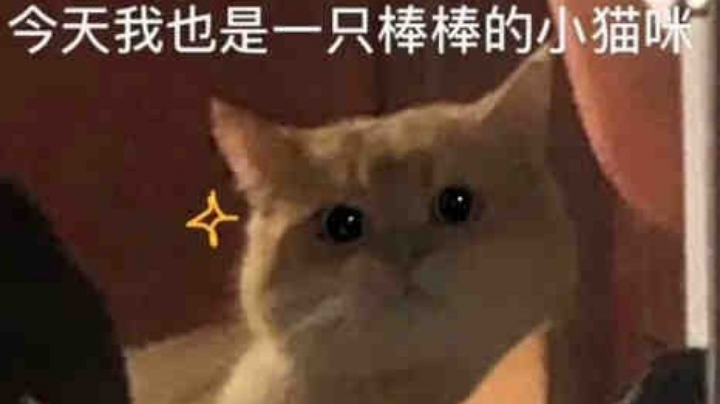 第五，极限再极限一点