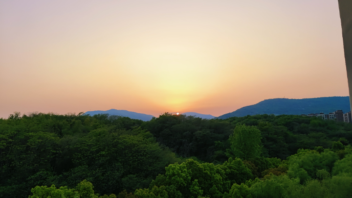 我本桀骜少年臣