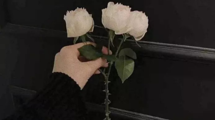 太难了，没赢过。
