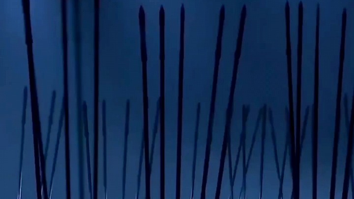瞌睡喵l发布了一个斗鱼视频2022-05-05