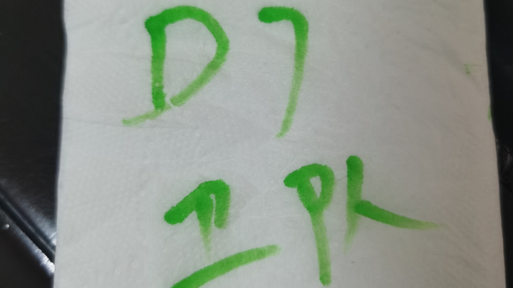 pvz卫队