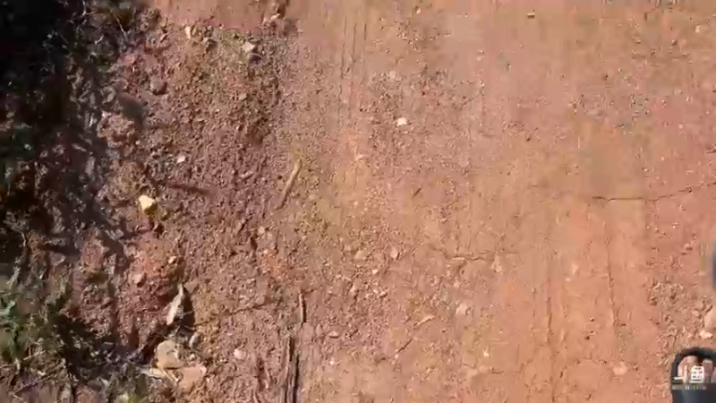 【2022-05-05 15点场】主播阿郎：厦门曾厝安卖唱