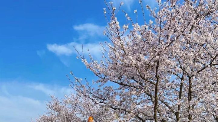 副本教学