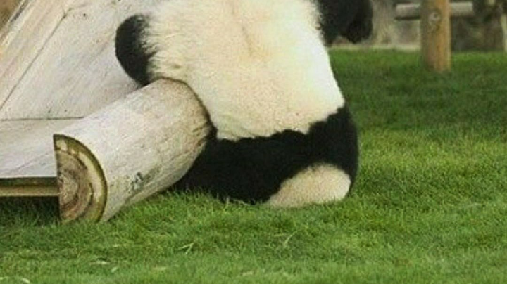 直播回放