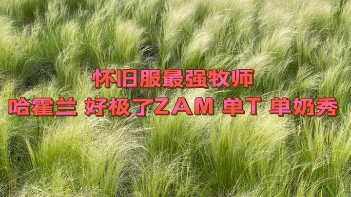 魔兽世界怀旧服 哈霍兰 王老板 好极了ZAM 单T 单奶秀