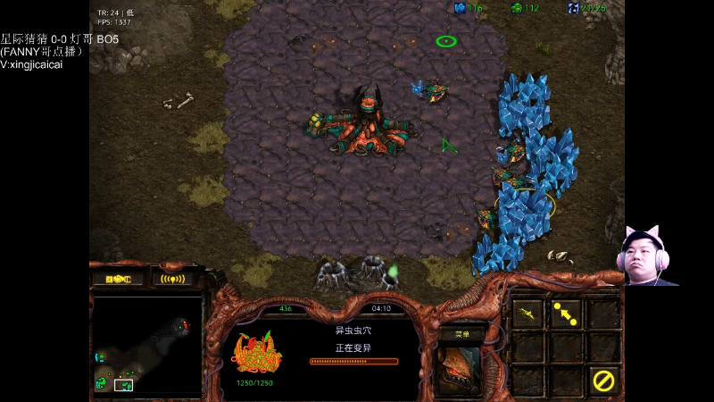 【星际争霸】星际猜猜的精彩时刻 20220506 00点场