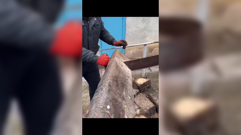 很遗憾 快两月没拍照了