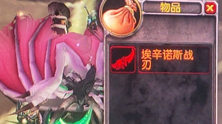 猫咪bt摆烂的一天