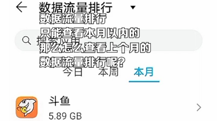 数据流量排行只能查看本月以内的，那么怎么查看上个月的数据流量排行呢？