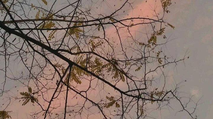 。。。