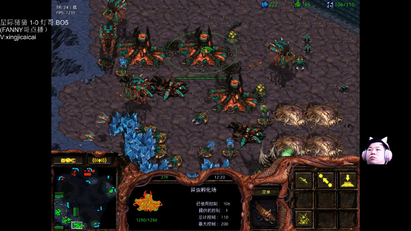 【星际争霸】星际猜猜的精彩时刻 20220506 01点场