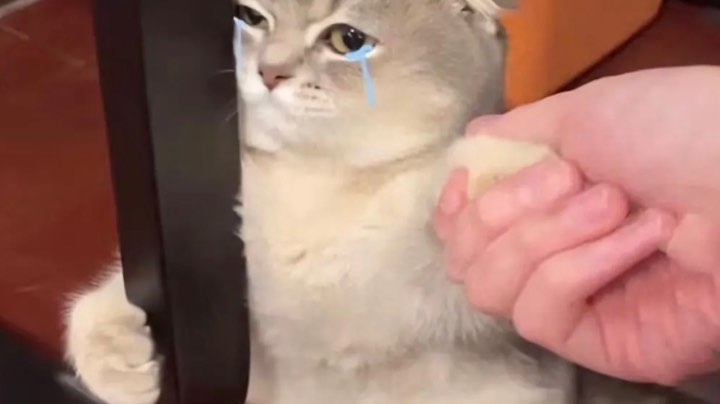 当坏人扎针也太快乐了