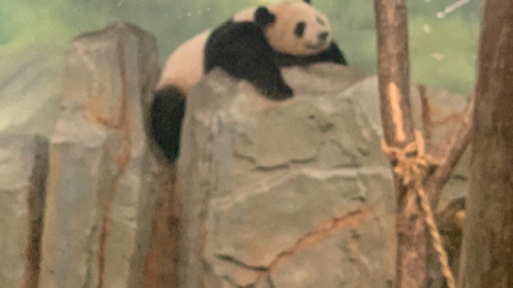 装备流手残肉搏