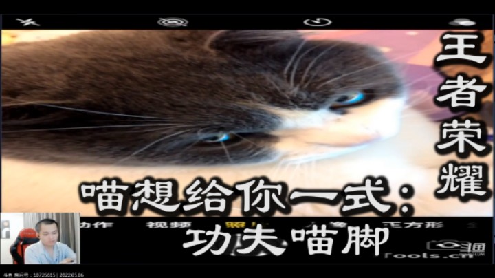 王者荣耀,喵想给你一式,功夫喵脚