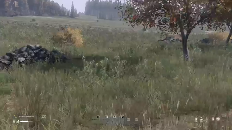 【2022-05-07 18点场】dayz韩爱东西：5.1快乐。好久不见