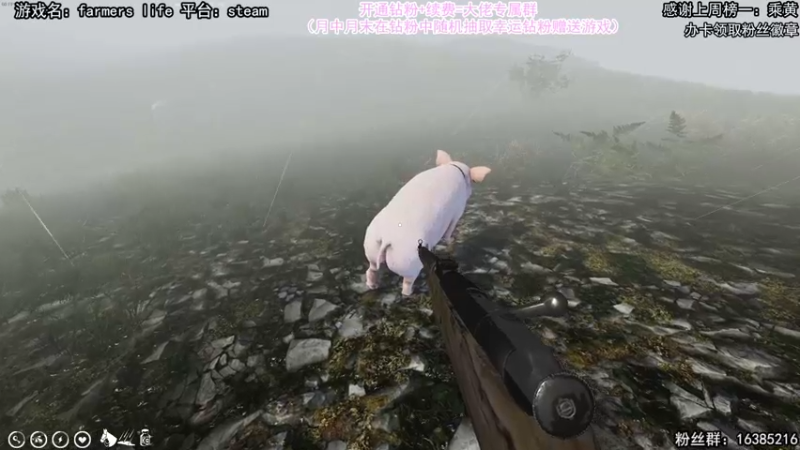 【2022-05-04 21点场】兔了了丶：【农场主模拟器】：兔兔的农场主生活