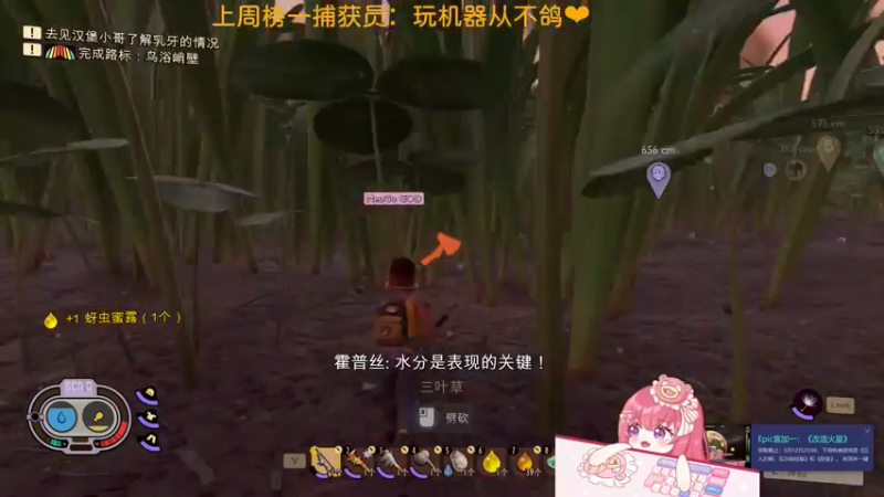 【2022-05-07 08点场】捕捉一只三吃：我看晚霞的时候不做任何事