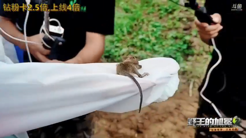 【2022-05-08 15点场】逐梦兄弟：《野王的加冕2》day1