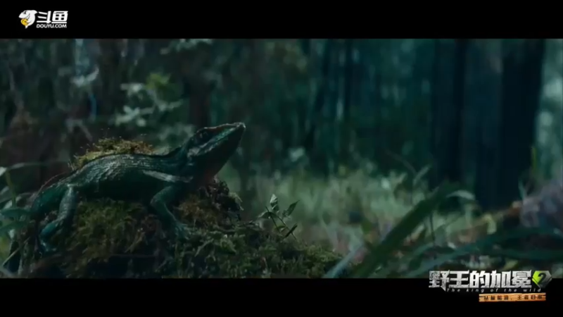 【2022-05-08 13点场】逐梦兄弟：《野王的加冕2》day1