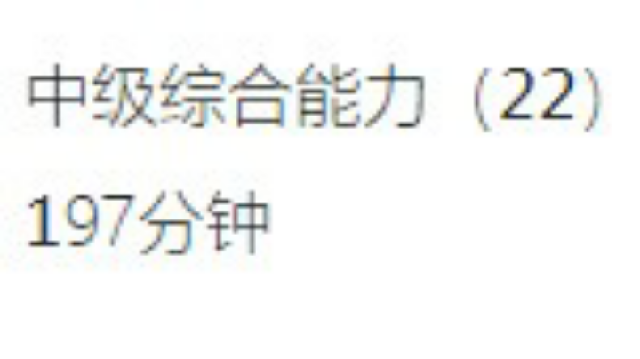 5.8中级综合能力