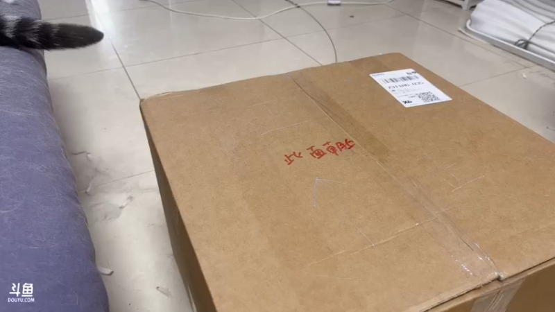 【2022-05-08 17点场】我就是图图阿：钻粉用户每天都是双倍，这不来冲？