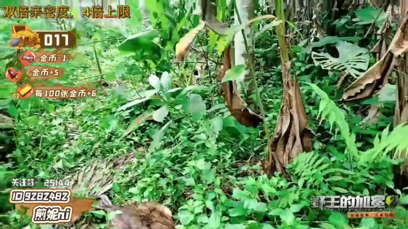 【2022-05-09 14点场】逐梦兄弟：《野王的加冕2》day2